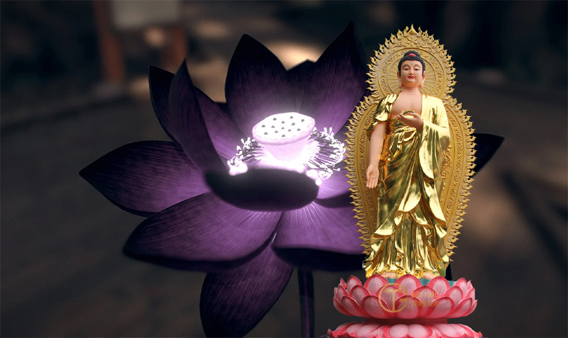 Tổng ăn ý hình hình họa Phật Đẹp nhất 2021